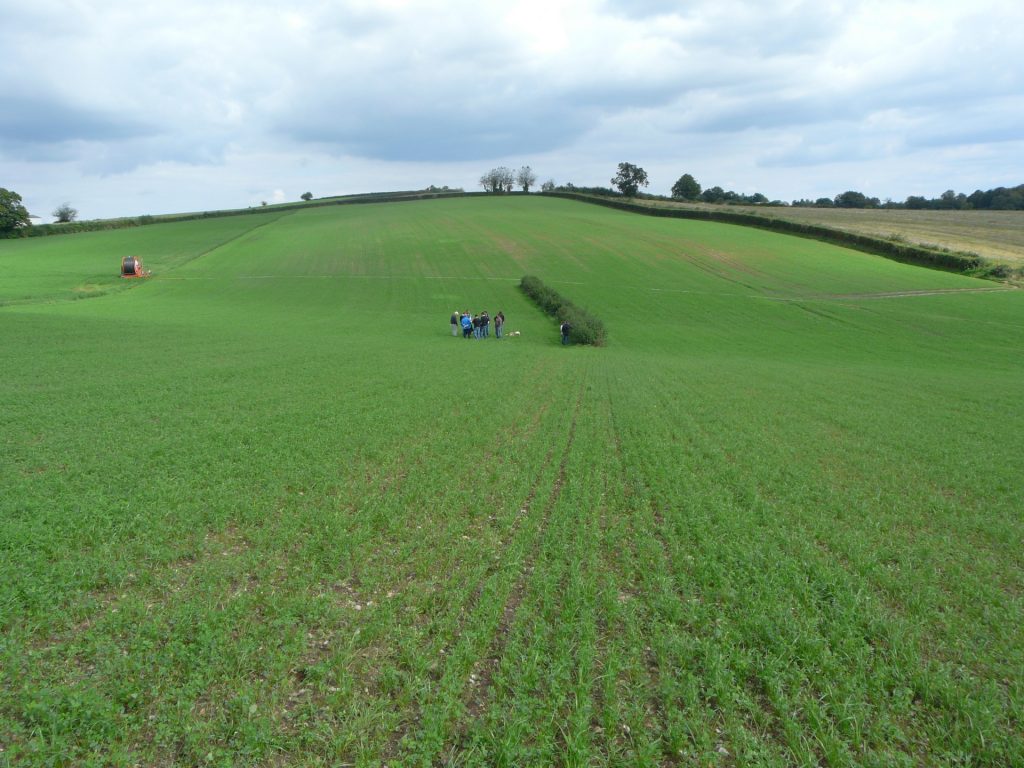 Plantation Haies Anti Erosive