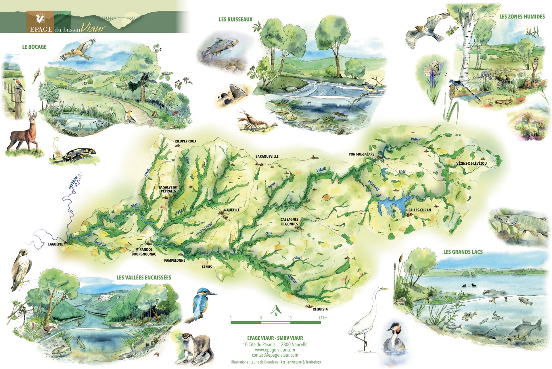 Aquarelle du Bassin du Viaur
ANT - Atelier Nature & Territoires Aquarelle du Bassin du Viaur ANT - Atelier Nature & Territoires