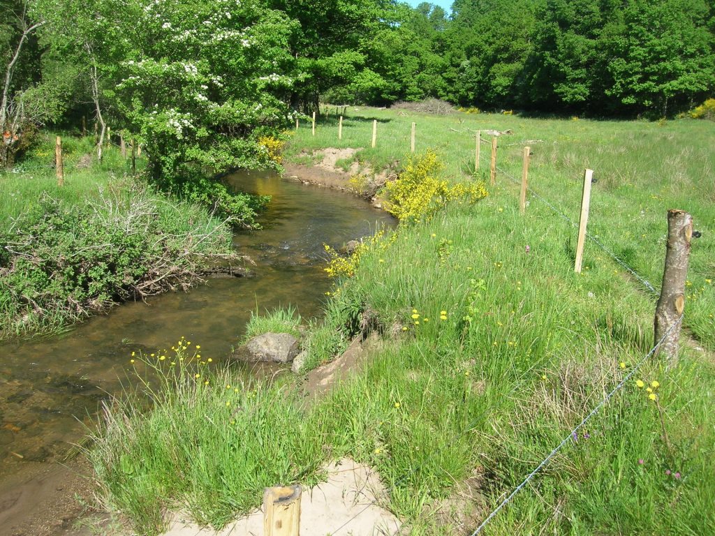 Vioulou clôtures et plantations