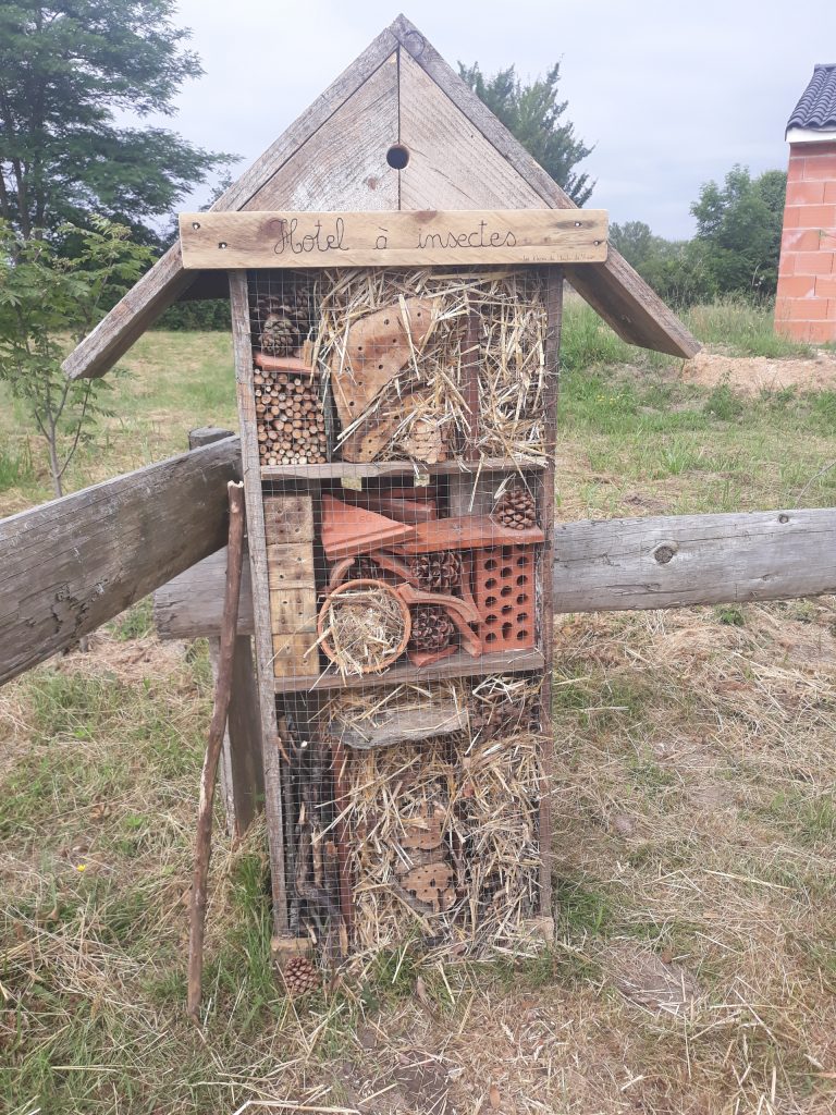 Hôtel à Insectes -École primaire de Tanus