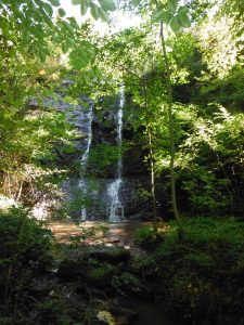 Cascade Rau du Saut (affluent du Cône)