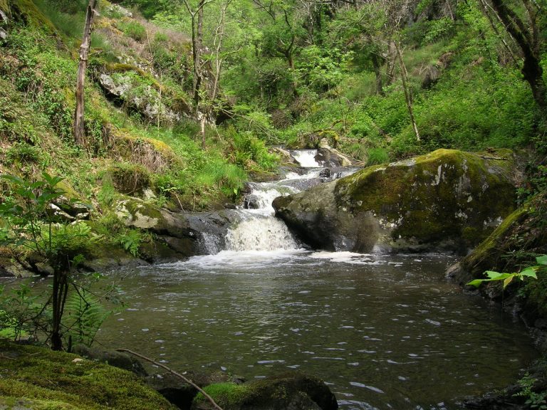 Gorges du Vernhou