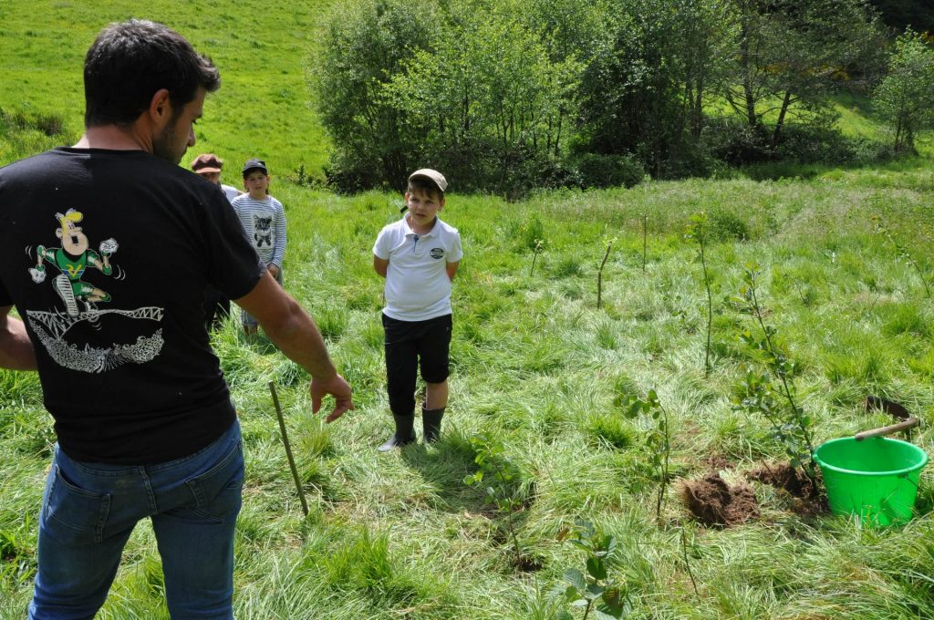 Réalisation de plantations avec les écoles