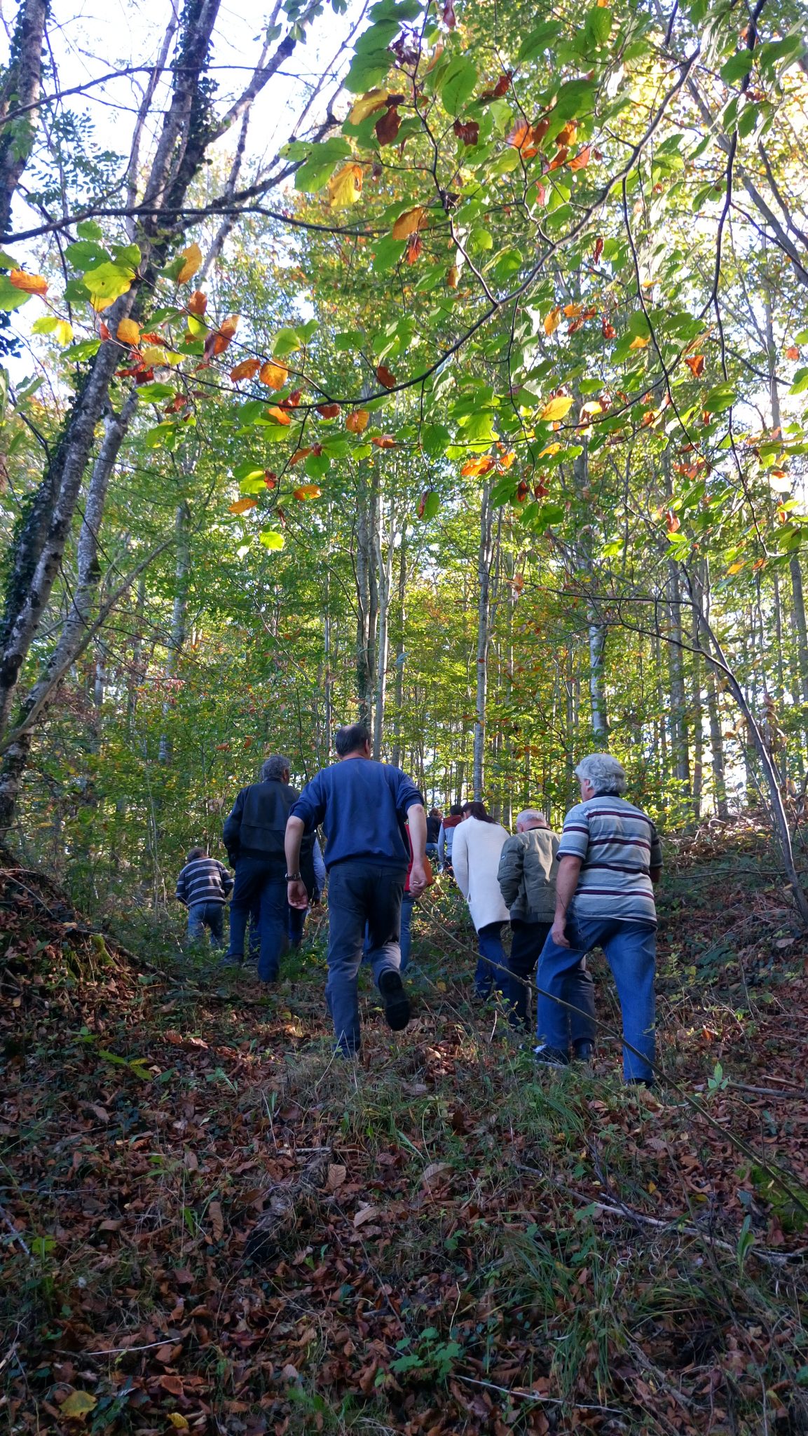 31 Octobre : Journée Technique Haies et Forêts paysannes