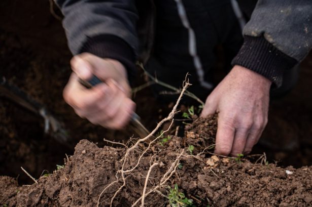 Rallye Eau et Sol (2)